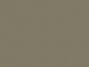 fine grain leather texture (ID:ffach853836)