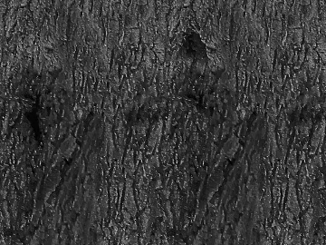Black and White Bump texture (ID:ffacg27667)