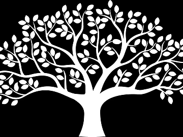 black and white tree shadow 3d model