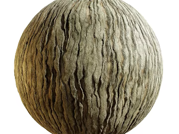 East Asian Bark PBR texture (ID:ffach130124)
