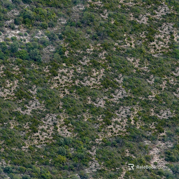 Yamaguform texture