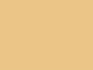 Light Beige Latex Paint Wall Coating texture (ID:ffaeh396129)