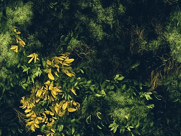 moss texture (ID:ffach009581)