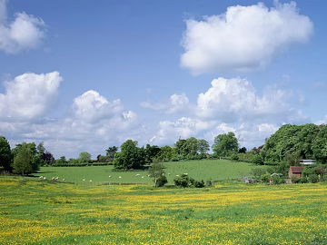 Pastoral scenery texture (ID:ffagg88626)
