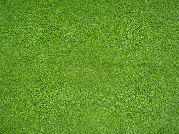 Turf texture (ID:ffacg10171)