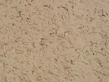 Beach texture (ID:ffacg70045)