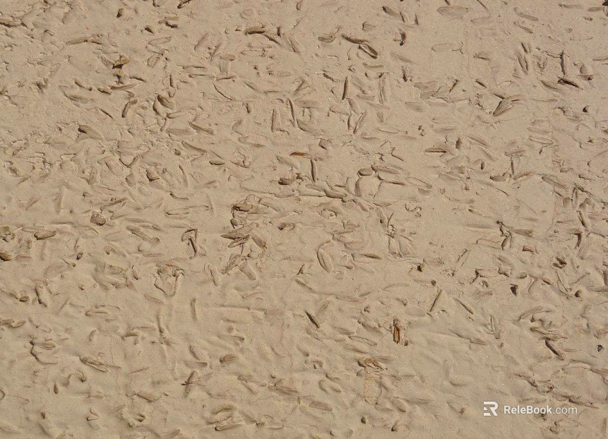 Beach texture