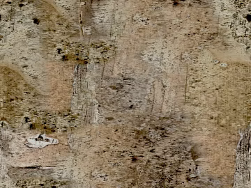 wood grain seamless texture (ID:ffagg77089)