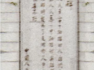 Stele texture (ID:ffacg61110)