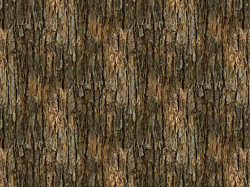 New Chinese Bark 3d model