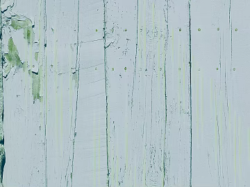 Old wood to do old white boards texture (ID:ffagg01384)