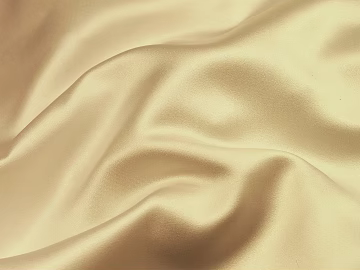 Silk 3d model