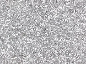 Black and White Bump texture (ID:ffabg74402)