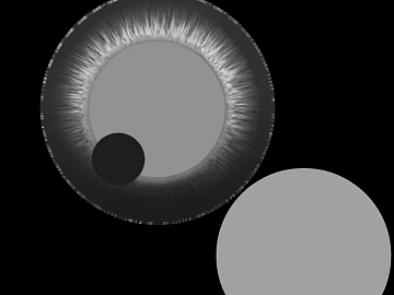 Black and White Pupil Organ Map texture (ID:ffaeh307724)