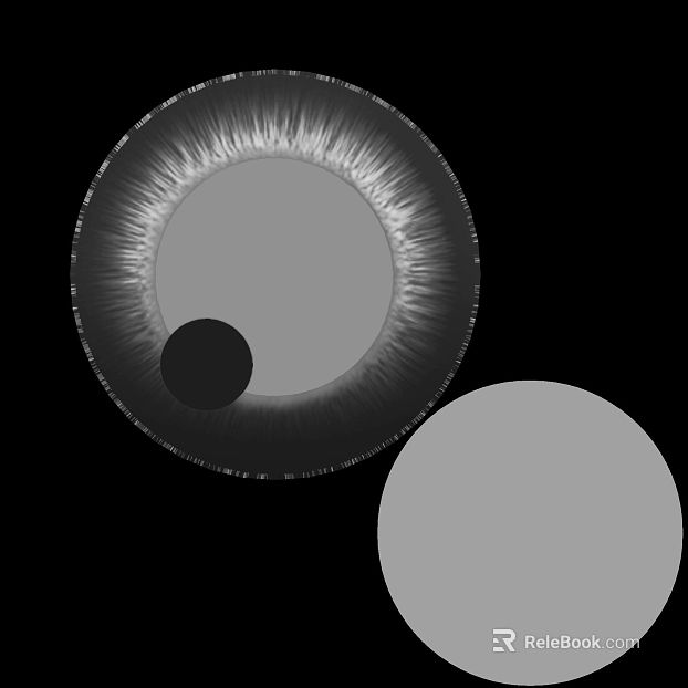 Black and White Pupil Organ Map texture