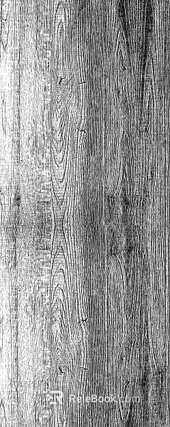 Wood grain texture