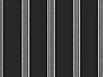 Black and White Bump 3d model