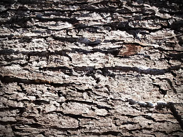 Outdoor wall surface 3d model