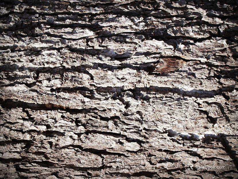 Outdoor wall surface texture