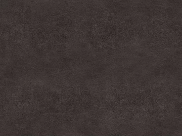 fine grain leather 3d model