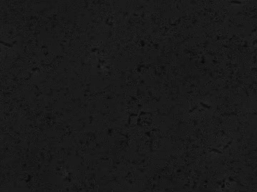 Plain pattern carpet texture (ID:ffacg75879)