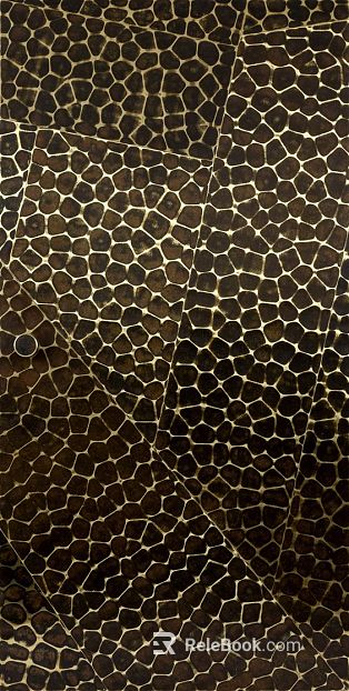 Animal Blanket texture