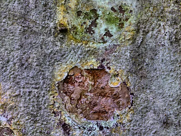 Do the old metal texture (ID:ffabg41115)