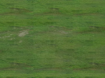 Grassland texture (ID:ffaag24485)