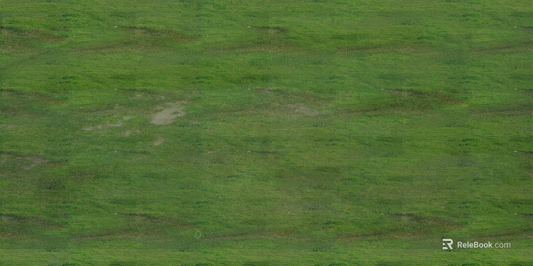 Grassland texture