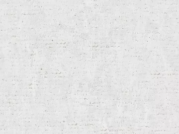 Silky gray white plaster texture (ID:ffaeh795671)