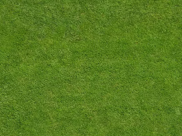 Turf texture (ID:ffacg30789)