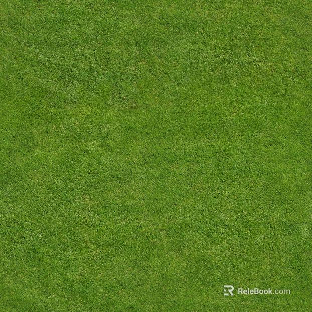 Turf texture