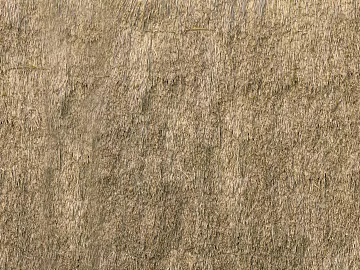 Thatch texture (ID:ffajg44078)