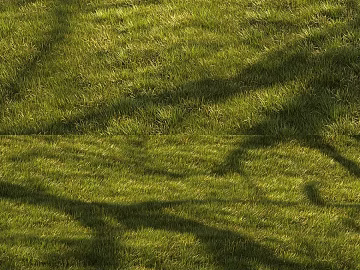 Yellowish green turf courtyard outdoor ground texture (ID:ffaeh084064)