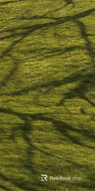 Yellowish green turf courtyard outdoor ground texture