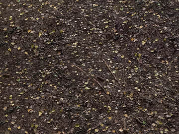 Mud texture (ID:ffach338265)