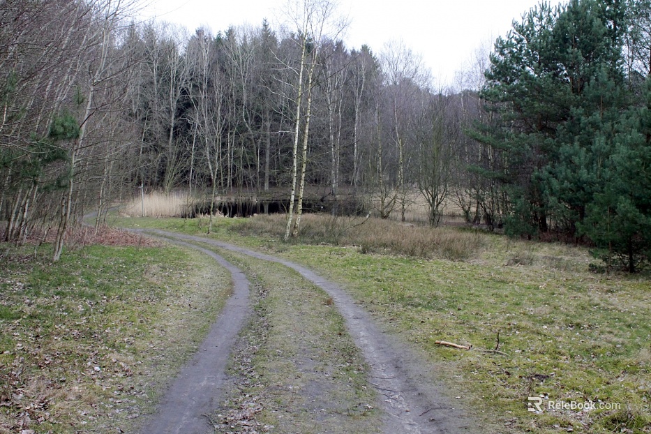Wild Scenery texture
