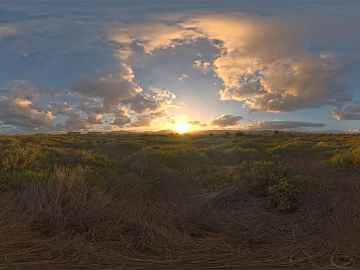 Sky HDR Clouds HDR Blue Sky HDR Clouds White Cloud Park Sunny Day Dusk Sunrise Sunset Sunset Wheat Field Grassland Farmland texture (ID:ffaeh729467)