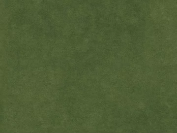 Turf texture (ID:ffacg36036)