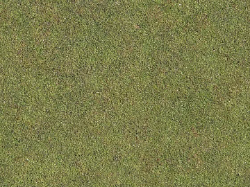 Turf texture (ID:ffajg27053)