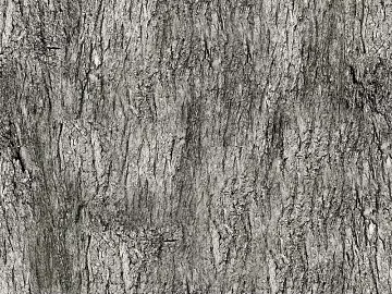bark 3d model