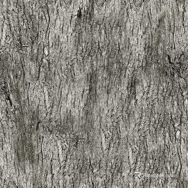 bark texture