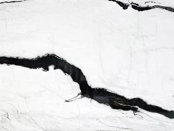 Panda White Marble White Black Water Pattern texture (ID:ffajh615677)