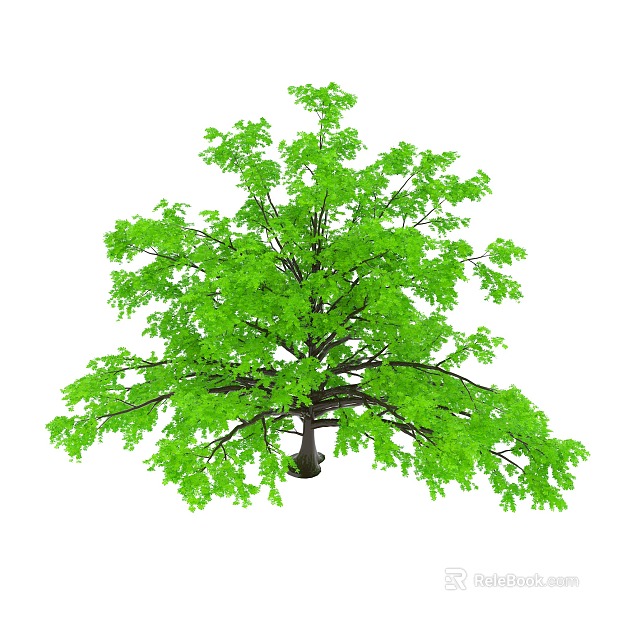 Tree texture