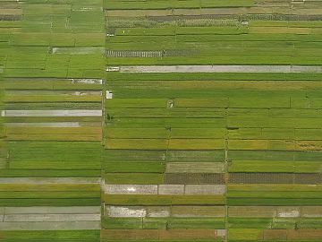 Pastoral scenery texture (ID:ffacg40958)