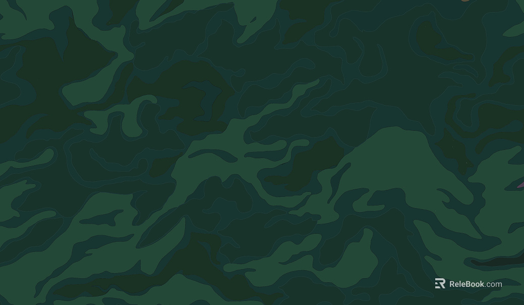 Camouflage texture