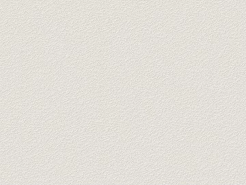 White Texture Paint 3d model