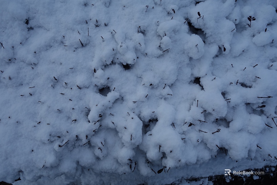 Snow texture