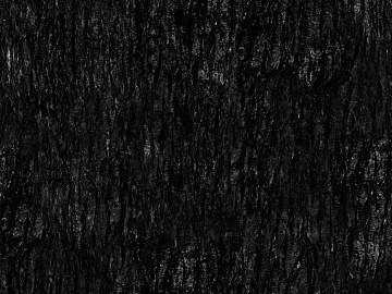 bark texture (ID:ffaag67357)