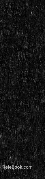 bark texture